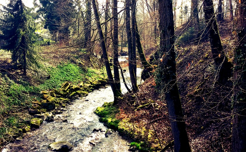 Jour 1: Soleil et belles filles
